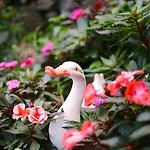 Gardens Guest House-hostel 5*